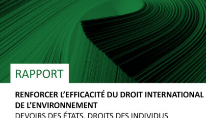 Rapport : Renforcer L'efficacité Du Droit International De L'environnement