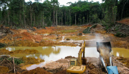 Guyane Société Montagne D'or