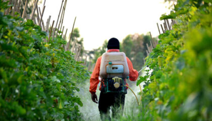 Arretes Maires Anti-pesticides