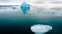 Le Parlement Déclare L’urgence Climatique